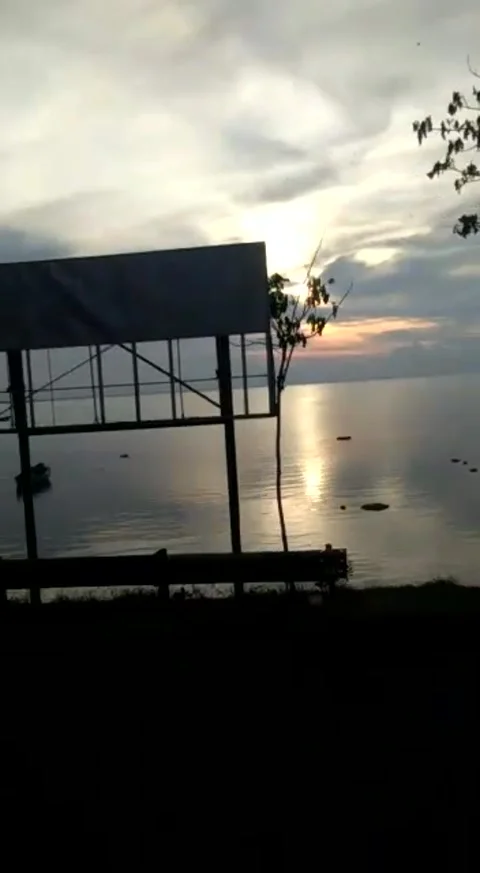 Sunset Stock Footage 219665235