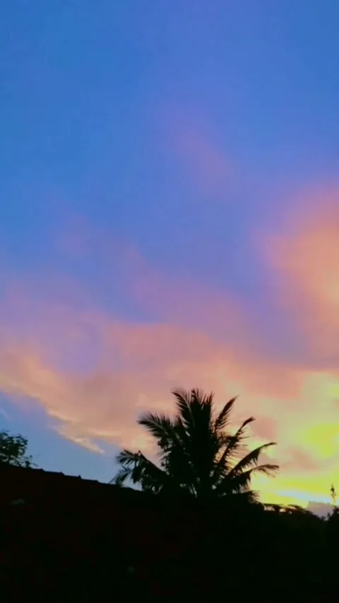 Sunset Vidéo 222853656