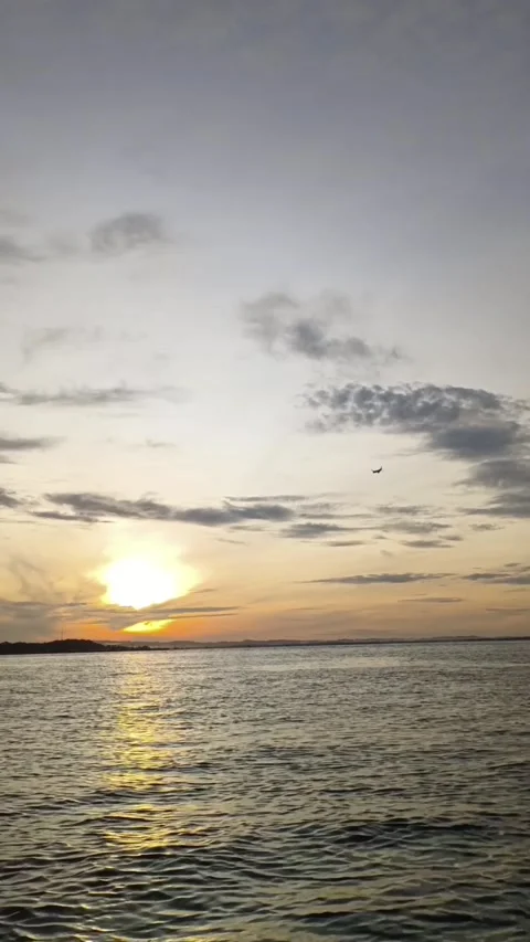 Sunset Video stock 223456810