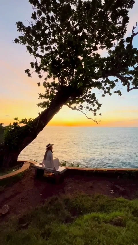 Sunset Stock Footage 224892005