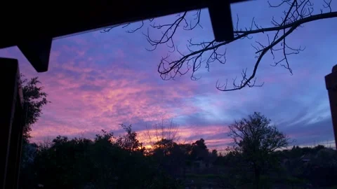 Sunset Video stock 228804985