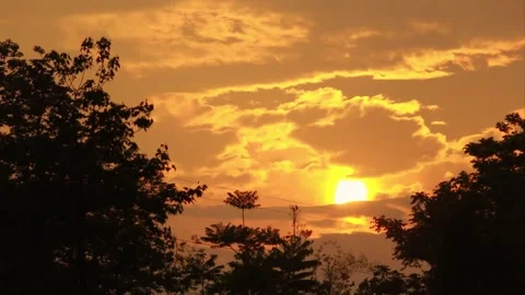 Sunset Stock Footage 235131249