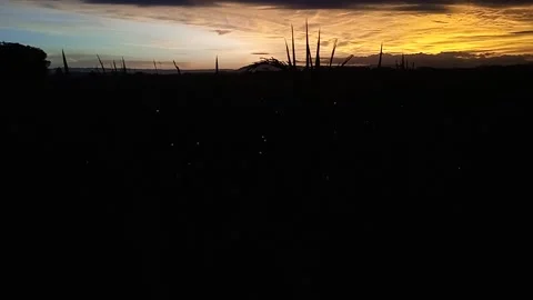 Sunset Video stock 236695956