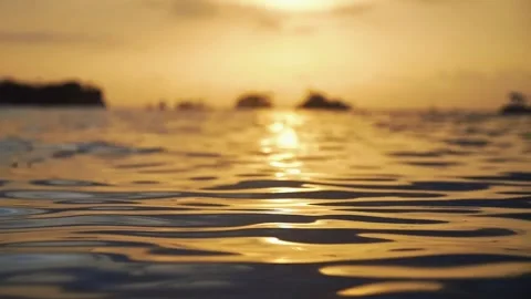 Sunset Stock Footage 240362192