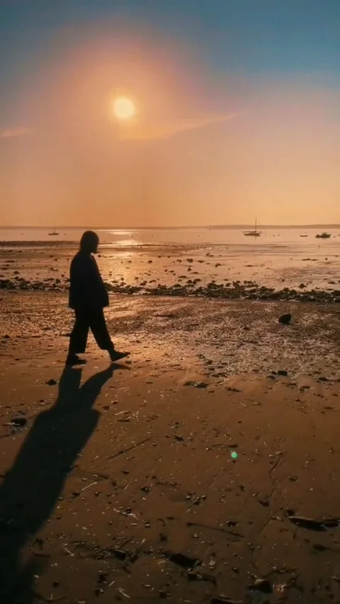 The sunset Stock Footage 241801116