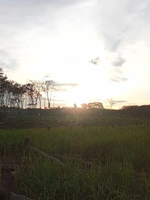 Sunset Stock Footage 241956490