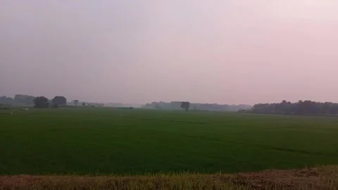 Sunset Stock Footage 242032273