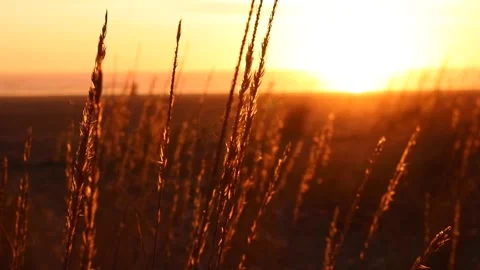 The sunset Stock Footage 242503902