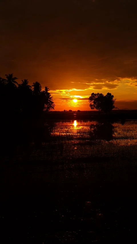 Sunset Stock Footage 242887102