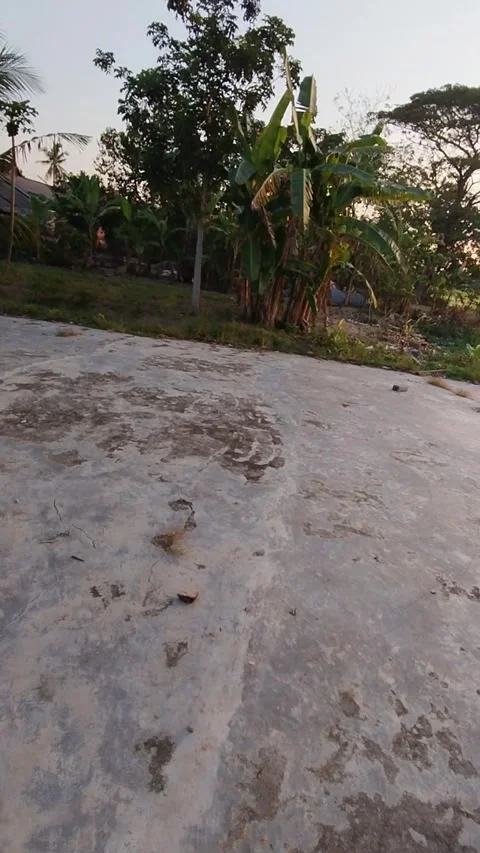 Sunset Vídeos de archivo 243670055