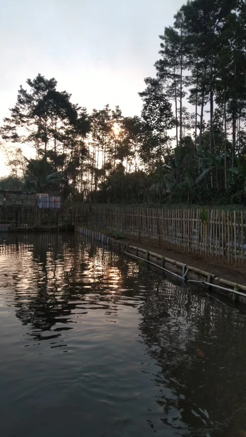 Sunset 스톡 동영상 243702303