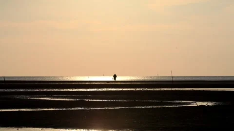 Sunset Stock Footage 244583852