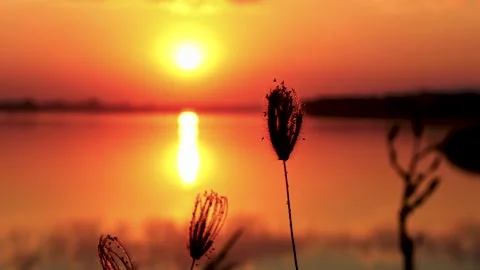 Sunset Stock Footage 246526831