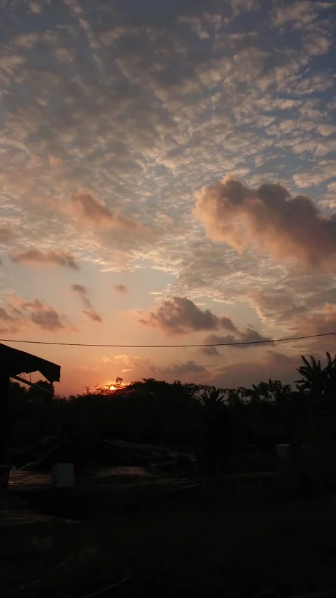 Sunset Video stock 246762816