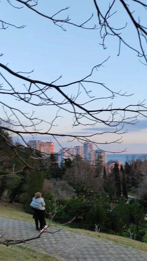 Sunset Stock Footage 255629823