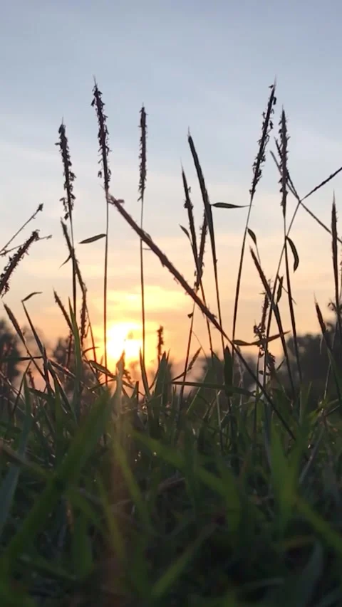 Sunset Stock Footage 279208845