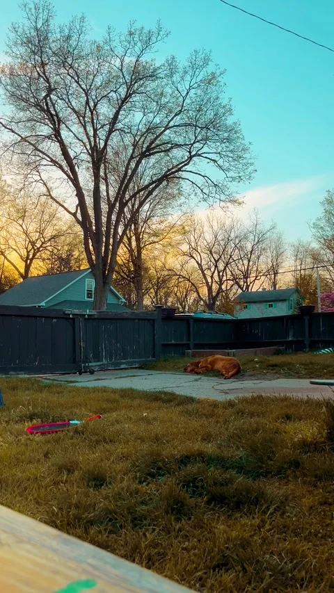 Sunset Stock Footage 279520908