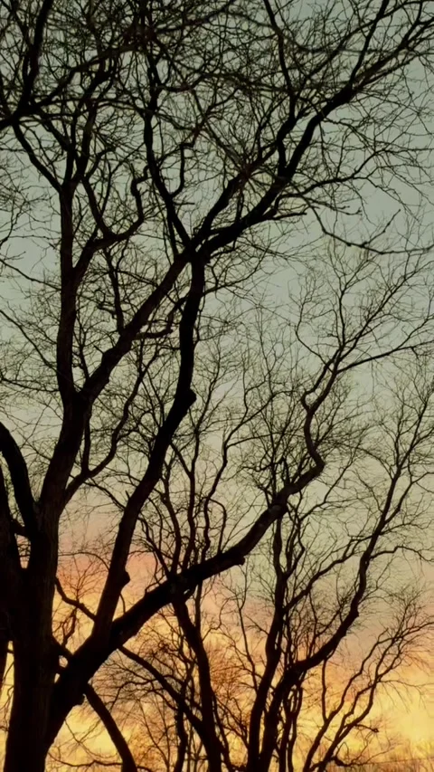 Sunset Stock Footage 279521667