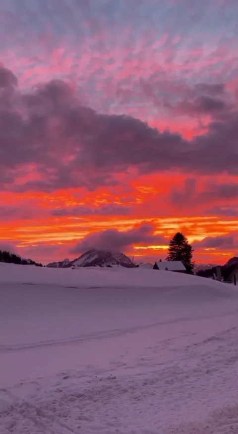 Sunset Video stock 280525136