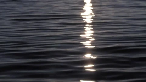 Sunset Video stock 289403499