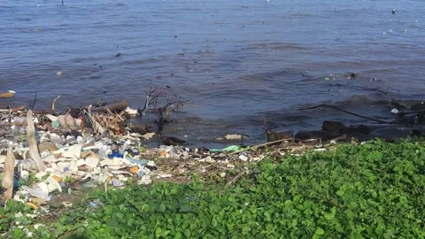 Sunset Video stock 289697851