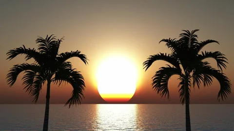 Sunset 스톡 동영상 293181509