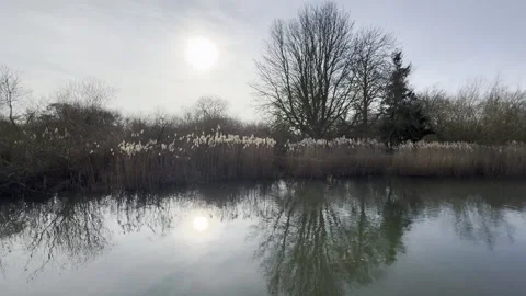 Sunset Stock Footage 303986922