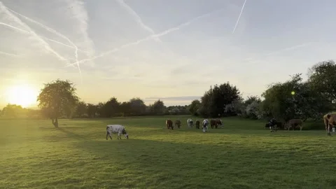 Sunset Stock Footage 307870913