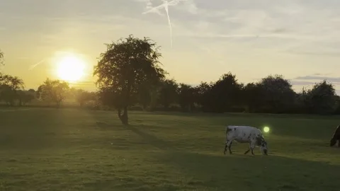 Sunset Stock Footage 307870926