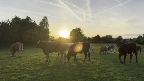 Sunset Stock Footage 307870935