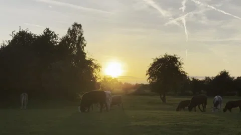 Sunset Stock Footage 307870938