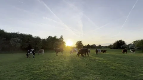 Sunset Stock Footage 307870939