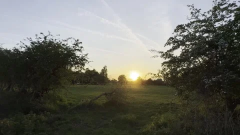 Sunset Stock Footage 307870949