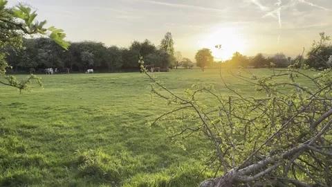 Sunset Stock Footage 307870952