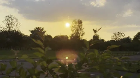 Sunset Stock Footage 313086875