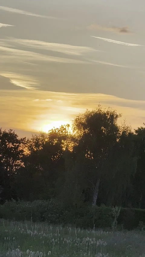 Sunset Stock Footage 313086925