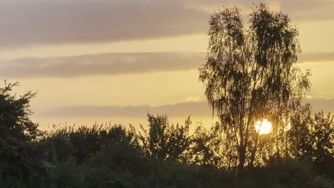 Sunset Stock Footage 313086937