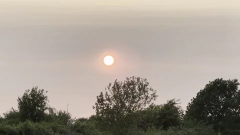 Sunset Stock Footage 313086950