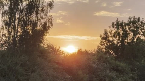 Sunset Stock Footage 313086992