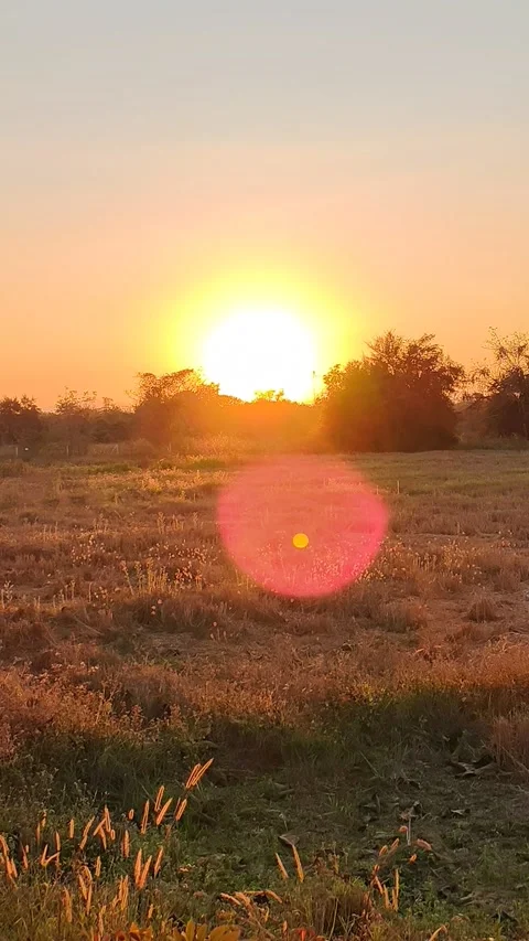Sunset Stock Footage 328826281