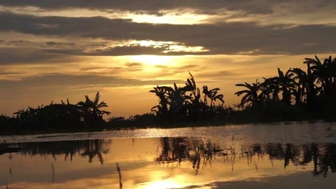 Sunset Stock Footage 330209847