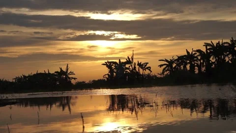 Sunset Video stock 330209848