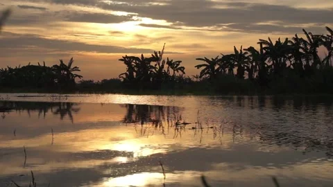 Sunset Stock Footage 330209868