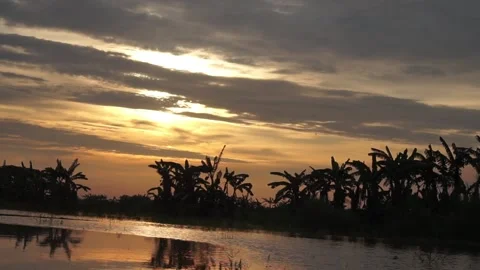 Sunset Video stock 330210598