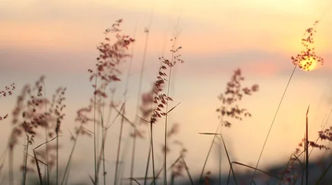 Sunset footage Stock Footage 35596760