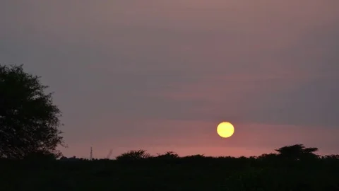 Sunset in forest in 4K Stock Footage 70163958