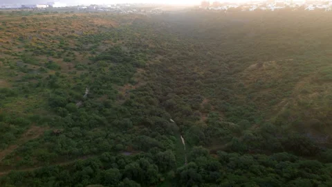 Sunset forest aerial view in El Campanario Queretaro ecological reserve Stock Footage 344591273