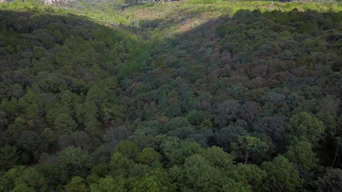 Sunset forest aerial view in El Campanario Queretaro ecological reserve Stock Footage 344591880