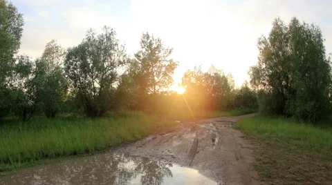 Sunset in the forest after the rain clouds reflected in a puddle.  Stock Footage 58586533