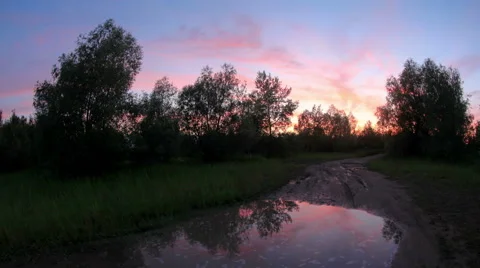 Sunset in the forest after the rain clouds reflected in a puddle.  Stock Footage 58586550